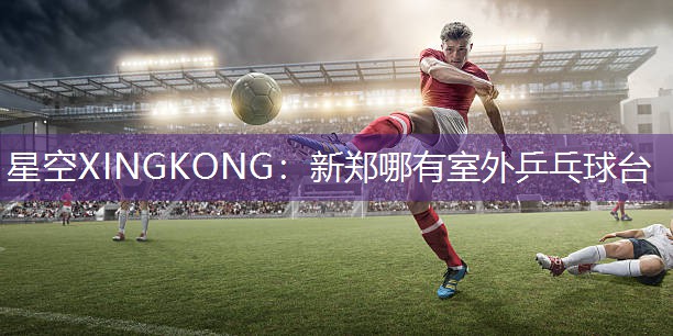 星空XINGKONG：新郑哪有室外乒乓球台
