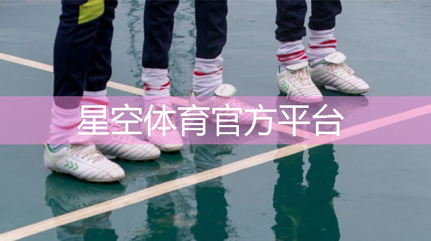 星空体育公司：小学生足球器材