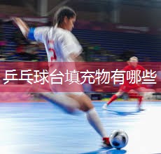 乒乓球台填充物有哪些