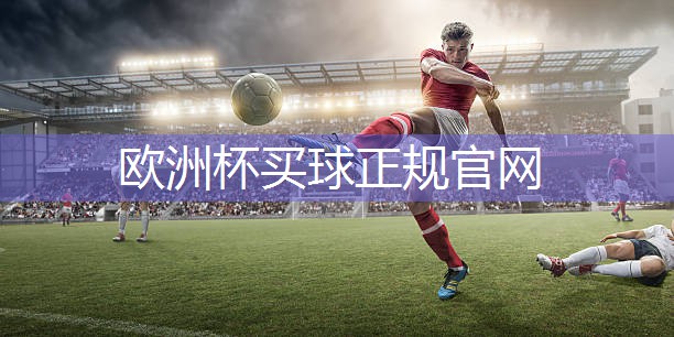 星空体育公司：河南硅pu球场材料