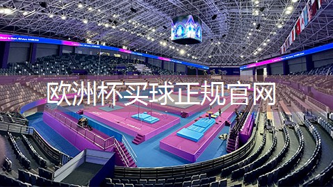 星空体育网站入口官网手机版：小孩篮球运动器材