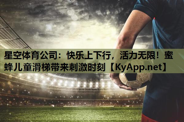 星空体育公司：快乐上下行，活力无限！蜜蜂儿童滑梯带来刺激时刻