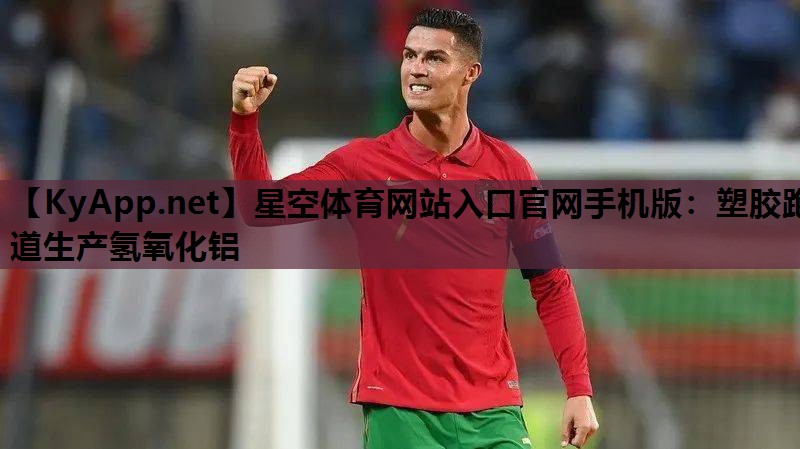 星空体育网站入口官网手机版：塑胶跑道生产氢氧化铝