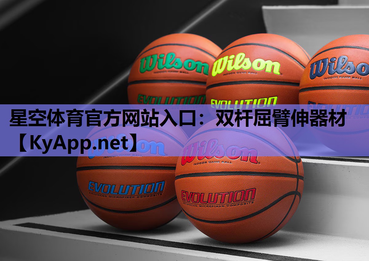 星空体育官方网站入口：双杆屈臂伸器材
