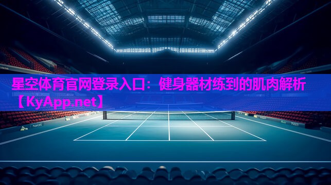 星空体育官网登录入口：健身器材练到的肌肉解析
