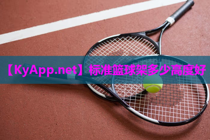标准篮球架多少高度好