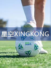 标准室外防晒防水乒乓球台