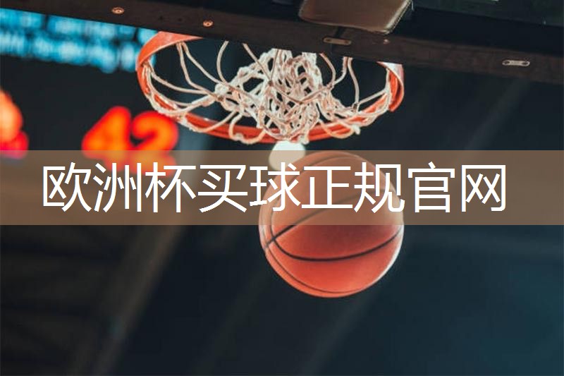 乒乓球台连接架