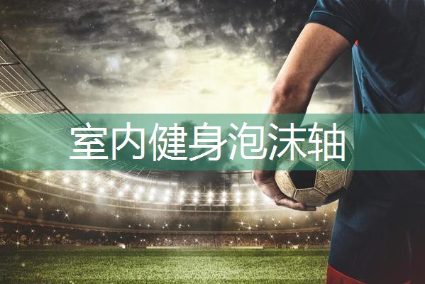 室内健身泡沫轴