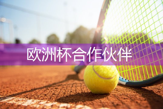乒乓球台喷什么漆最好
