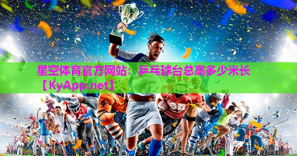 乒乓球台总高多少米长