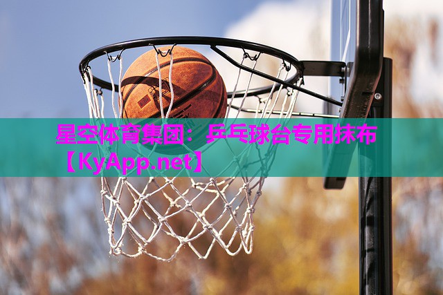 乒乓球台专用抹布