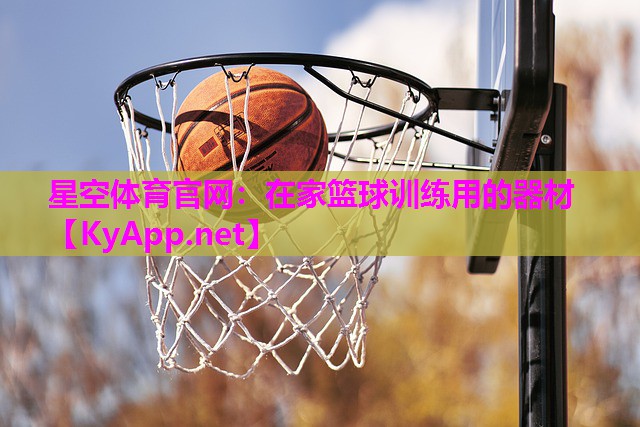在家篮球训练用的器材