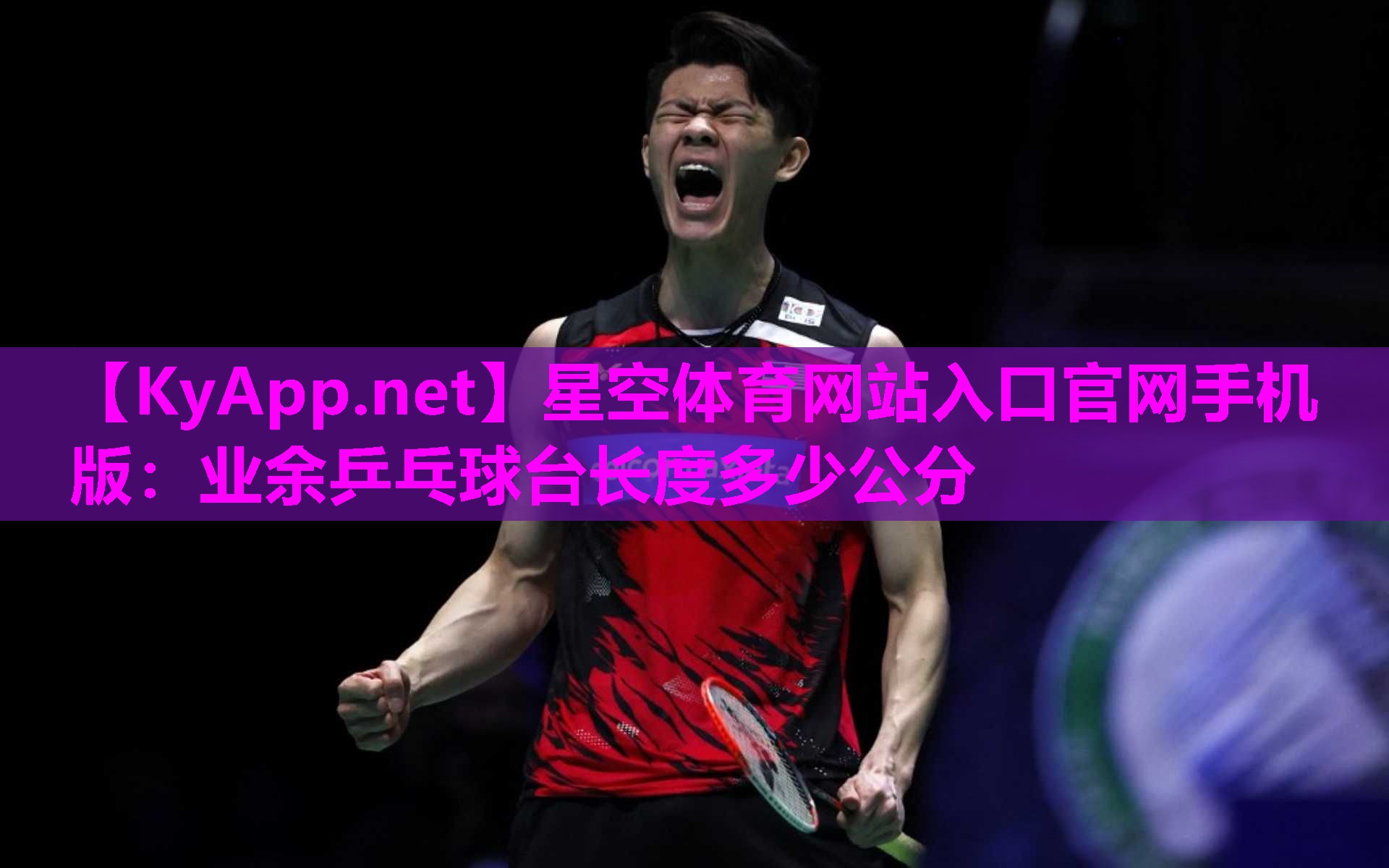 业余乒乓球台长度多少公分