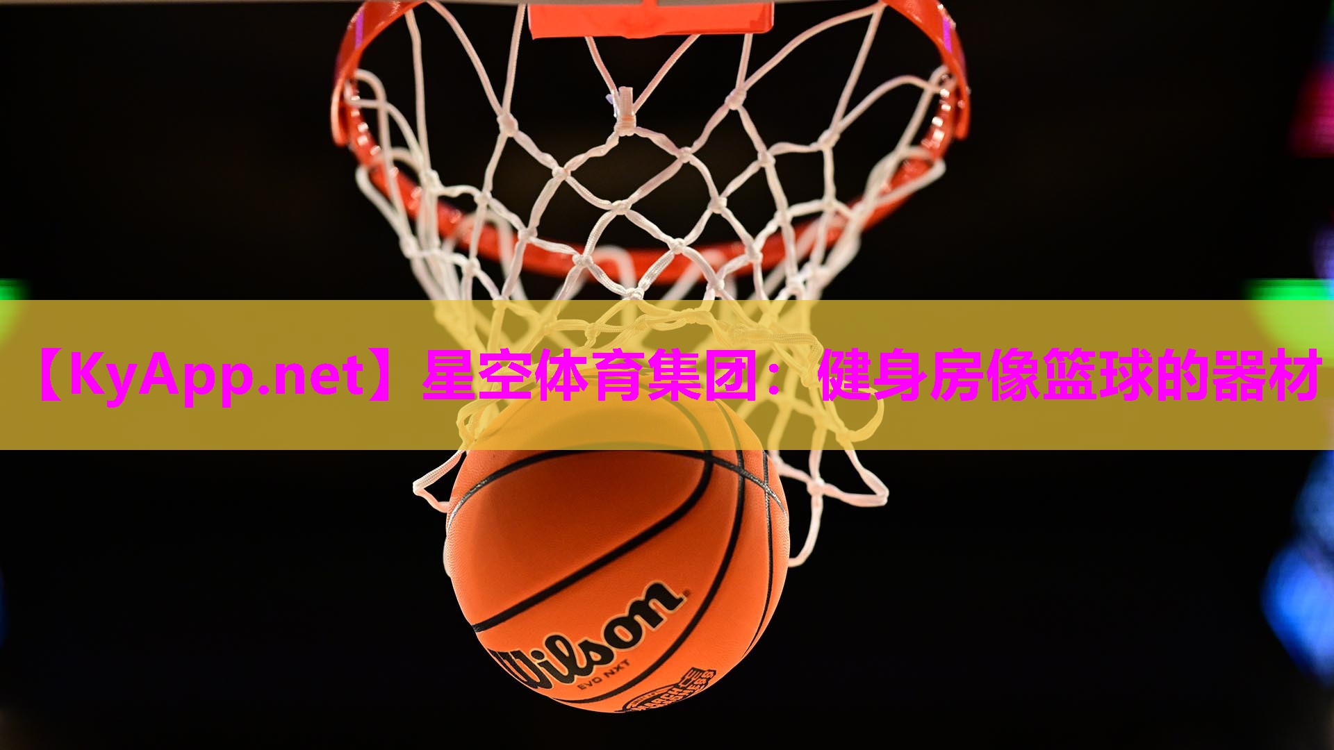 健身房像篮球的器材