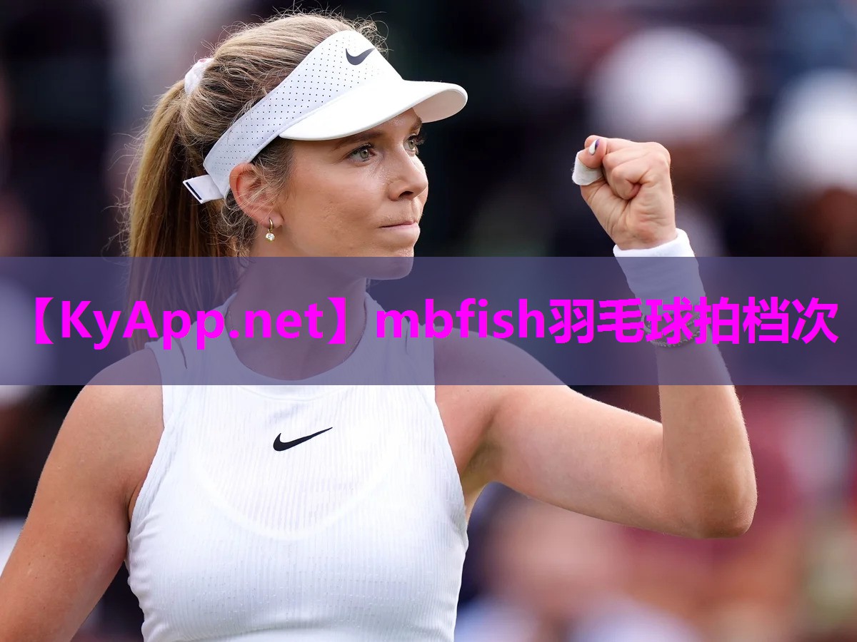 mbfish羽毛球拍档次