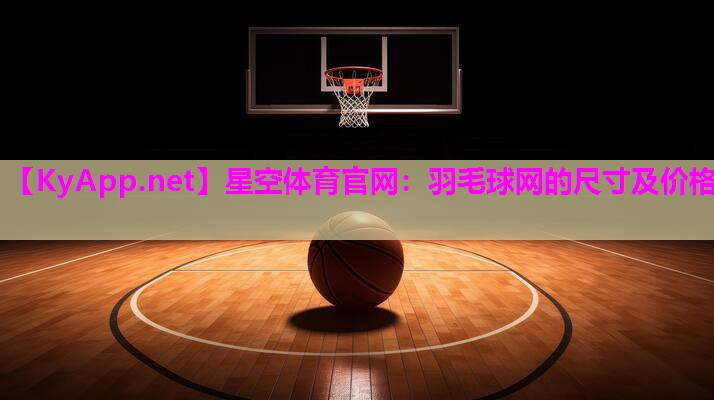 羽毛球网的尺寸及价格