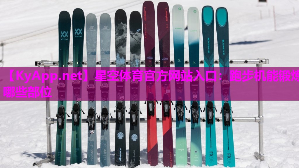 跑步机能锻炼哪些部位